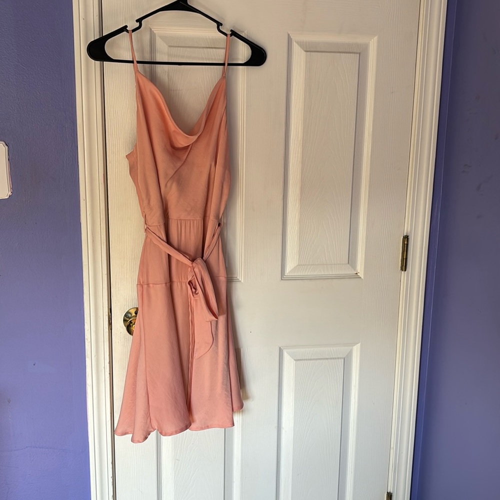 Pink Dress with tag will on.